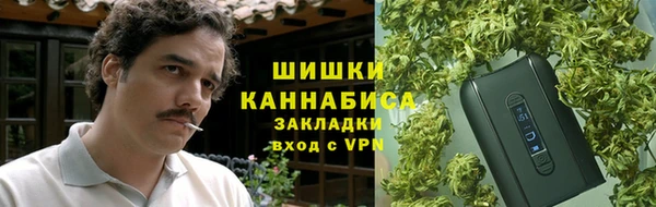 apvp Алзамай